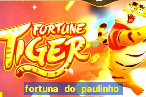 fortuna do paulinho do roupa nova